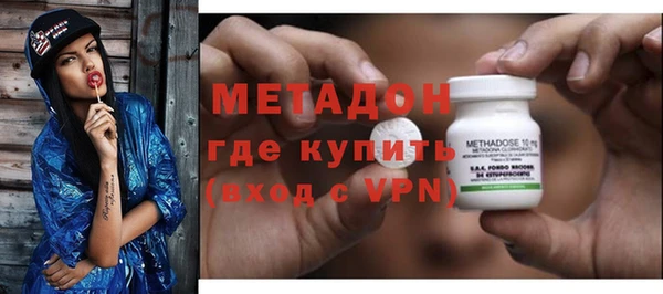 индика Арсеньев