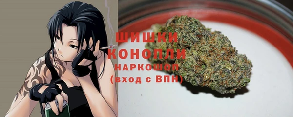 индика Арсеньев
