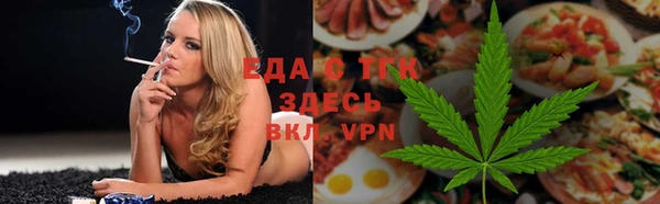 индика Арсеньев