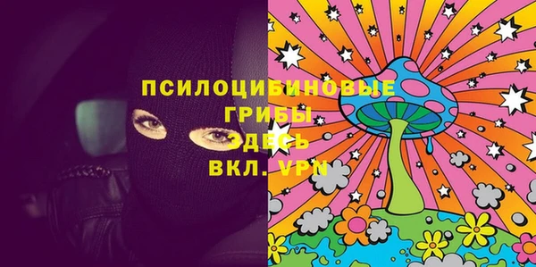 индика Арсеньев