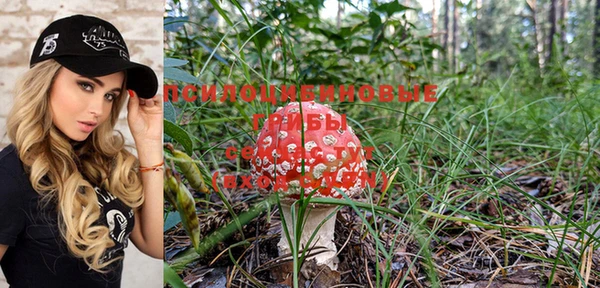 гашиш Аркадак