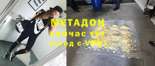 индика Арсеньев