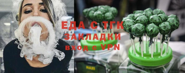 индика Арсеньев
