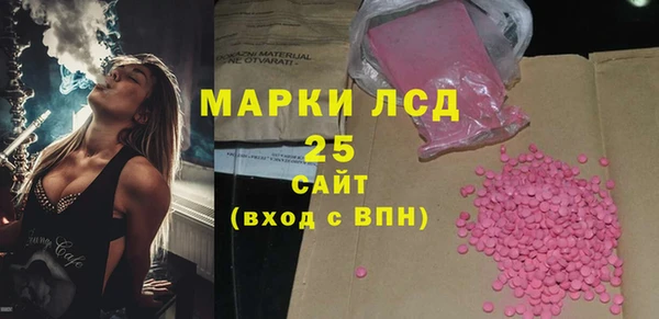 индика Арсеньев